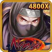 Ninja